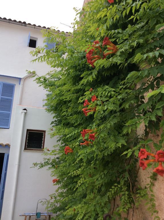 Hotel Ithaka Vacacional Artà Exterior foto